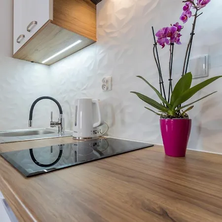 Beata Marek Pod Grapa Apartment Bialka Tatrzanska Exterior photo